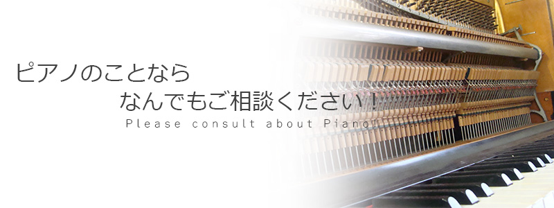pianotunehead.jpg